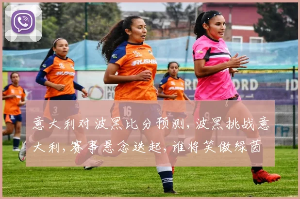 意大利对波黑比分预测,波黑挑战意大利,赛事悬念迭起,谁将笑傲绿茵场
