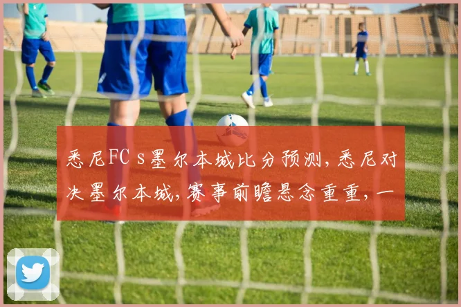 悉尼FC s墨尔本城比分预测,悉尼对决墨尔本城,赛事前瞻悬念重重,一触即发