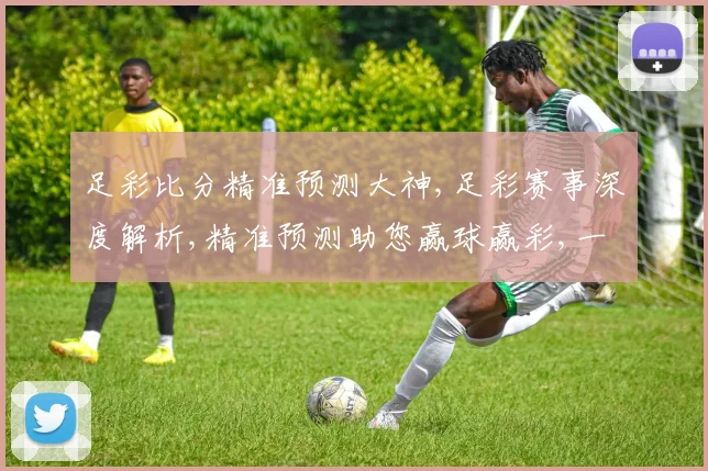 足彩比分精准预测大神,足彩赛事深度解析,精准预测助您赢球赢彩,一网打尽