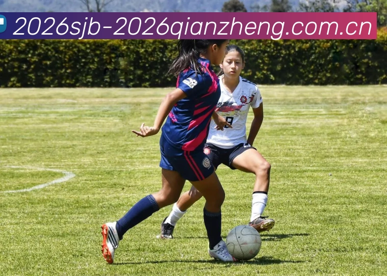 世界杯2026签证要求服务体系